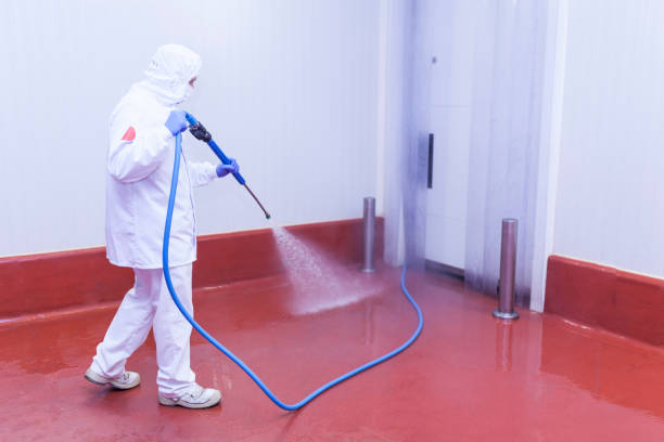 Little Canada, MN Pressure Washing Services Company