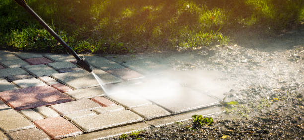Best Solar Panel Cleaning  in Little Canada, MN