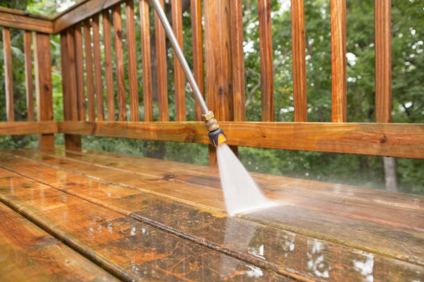 Best Fence Cleaning  in Little Canada, MN