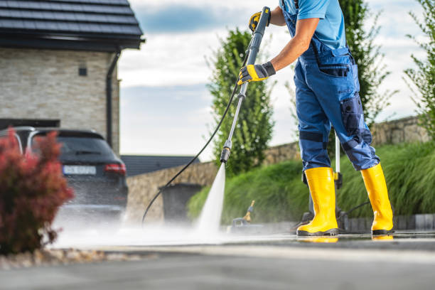 Best Roof Washing  in Little Canada, MN